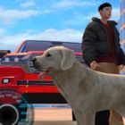 land cruiser offroad driver