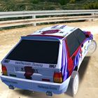 rally racer dirt