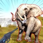 zoo anomaly simulation